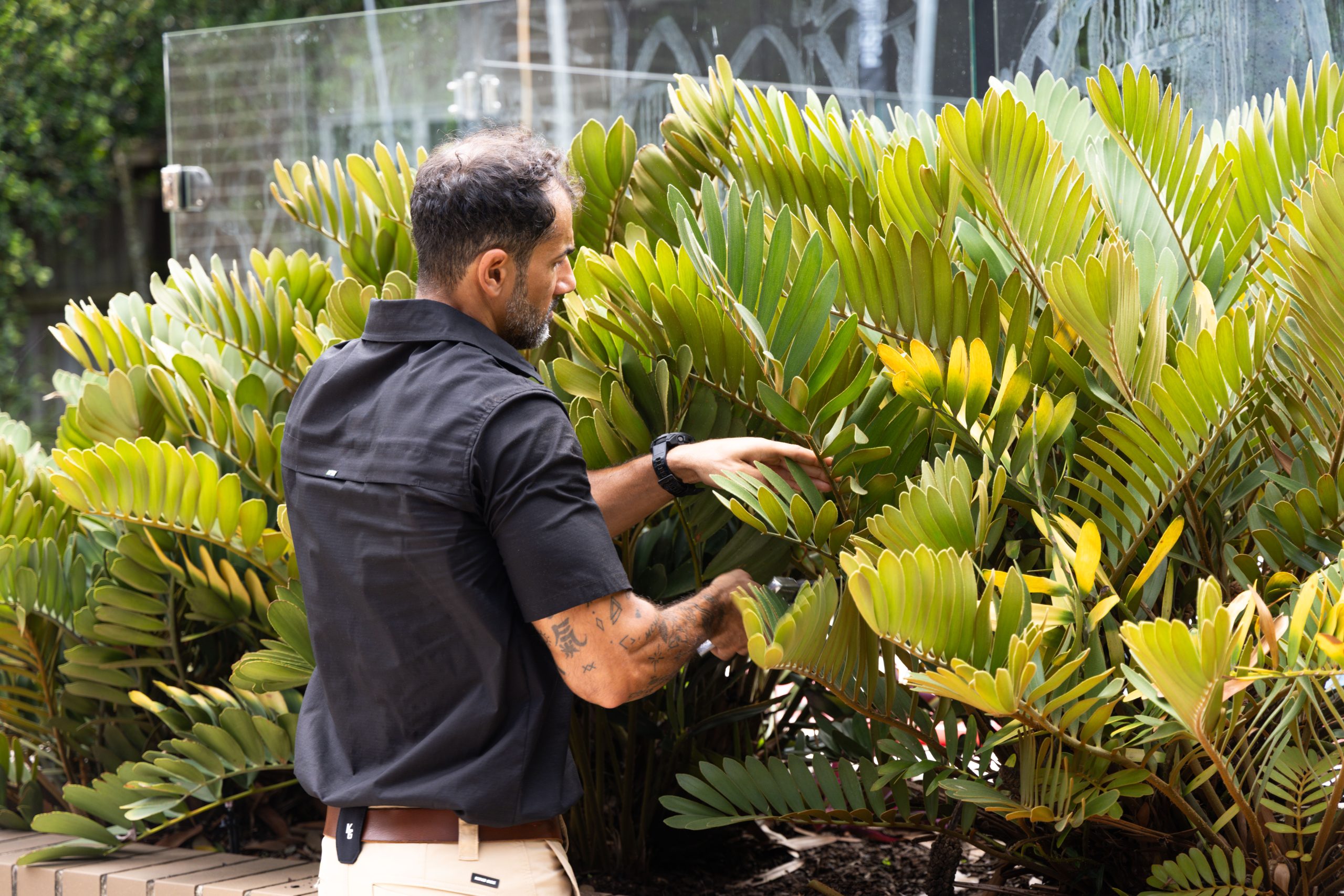 gardening & pruning
